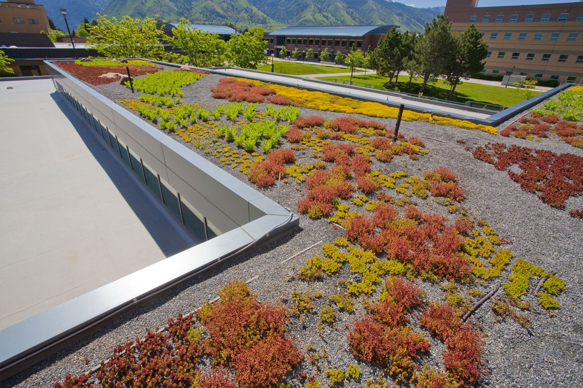 A closeup of the green roof system shows brightly colored plants in gravel at the early childhood education building.